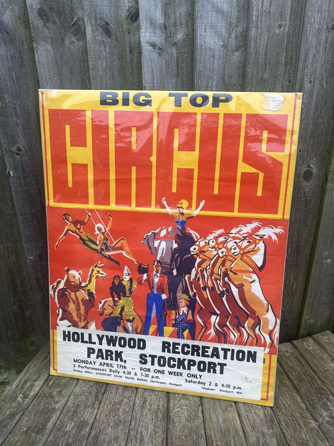 Lovely circus advertising poster
