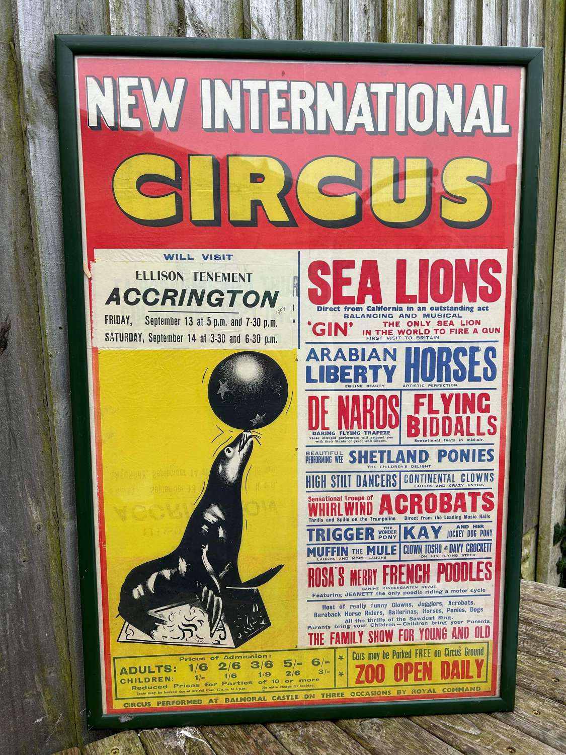 Stunning international circus poster for Accrington