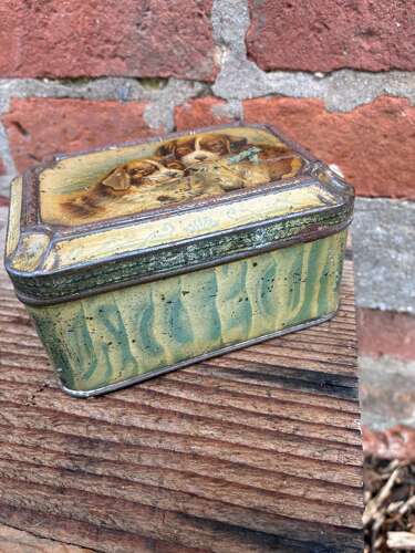 Early 1900 carr & co fancy biscuits st bernard puppy tin