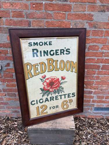 Ringers red bloom advertising tobacco showcard